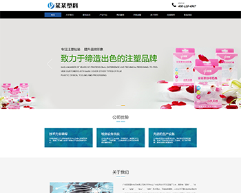 打造高端大氣的響應(yīng)式塑料封條制品企業(yè)網(wǎng)站——一站式網(wǎng)站建設(shè)開(kāi)發(fā)服務(wù)