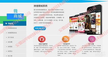 合肥專業(yè)網(wǎng)站建設(shè)與數(shù)字化解決方案 打造企業(yè)線上核心競(jìng)爭(zhēng)力