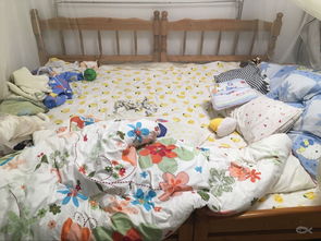 巧妙合并與定制 如何將兩張1.2米床打造為舒適大床體驗